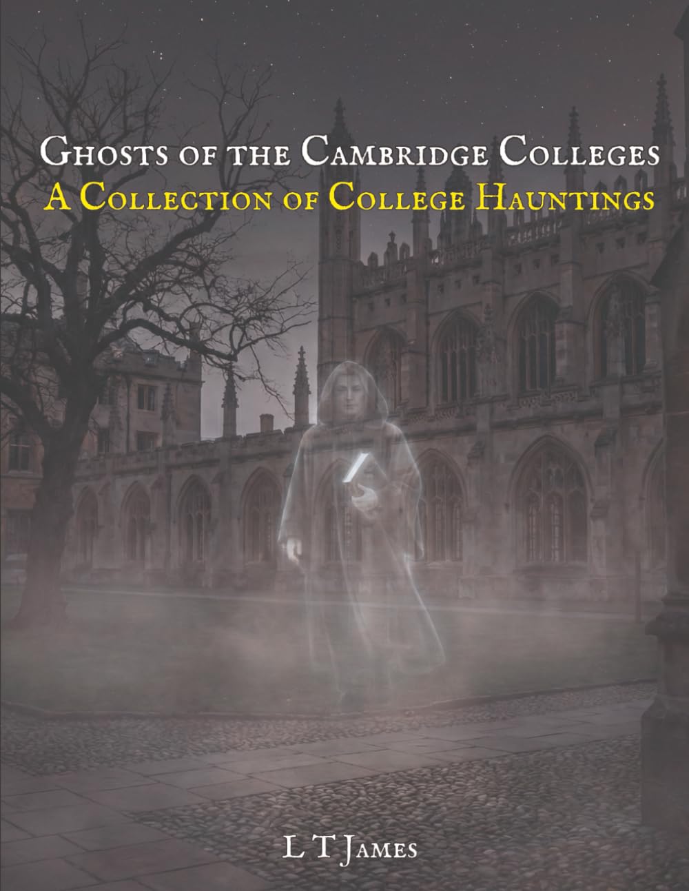 Ghosts of the Cambridge Colleges: A Collection of College Hauntings: 3 (Haunted Historic Buildings and Institutions: British Colleges, Prisons, Stately Homes and Asylums)