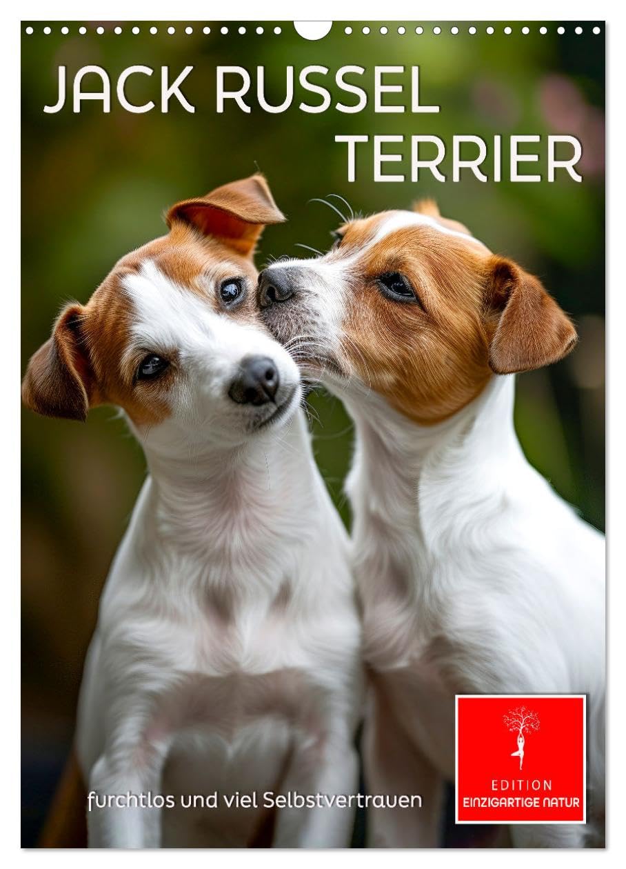 Jack Russell Terrier - fearless and very self-confident UK-Version (Wall Calendar 2026 DIN A3 Portrait), CALVENDO 12 Month Wall Calendar — image 1