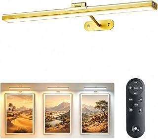 1Pack 16" Wireless Picture Light for Art