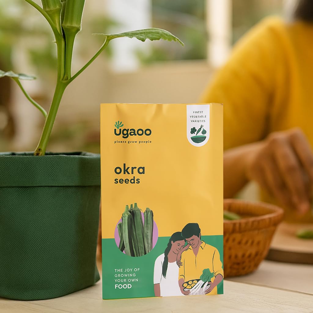 UGAOO Lady Finger or Okra Vegetable Seeds (Green, Pack of 10g)