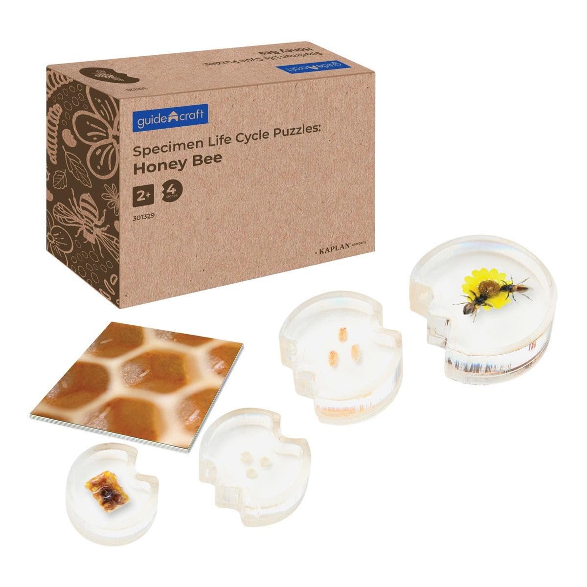 Kaplan Early Learning Specimen Life Cycle Puzzles - Honey Bee