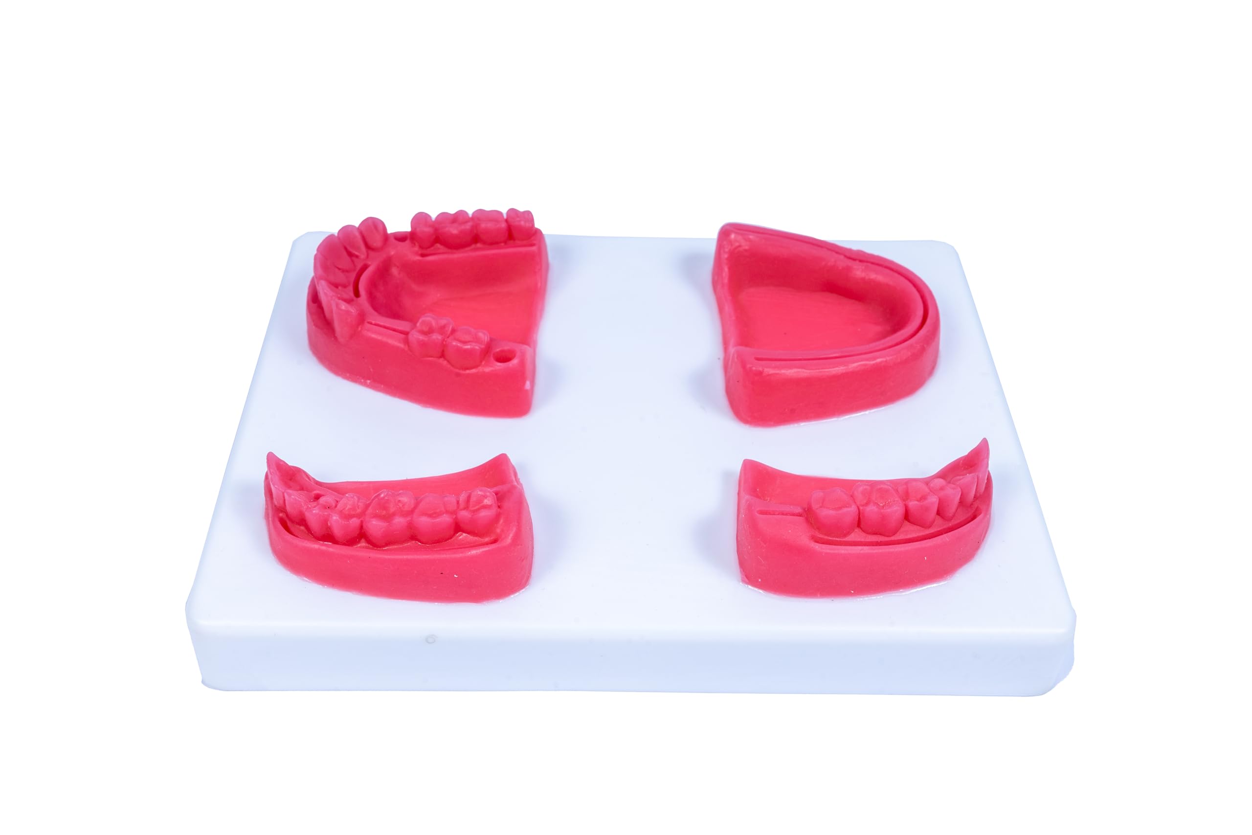 Meril Suture Practice Pad Dental Oral | 4 Different Types of Dental Suturing Pads| Gum Suture Training | Suitable for Dental Students and Dentists (B0BJ8N8PBS) Amazon Price History, Amazon Price Tracker