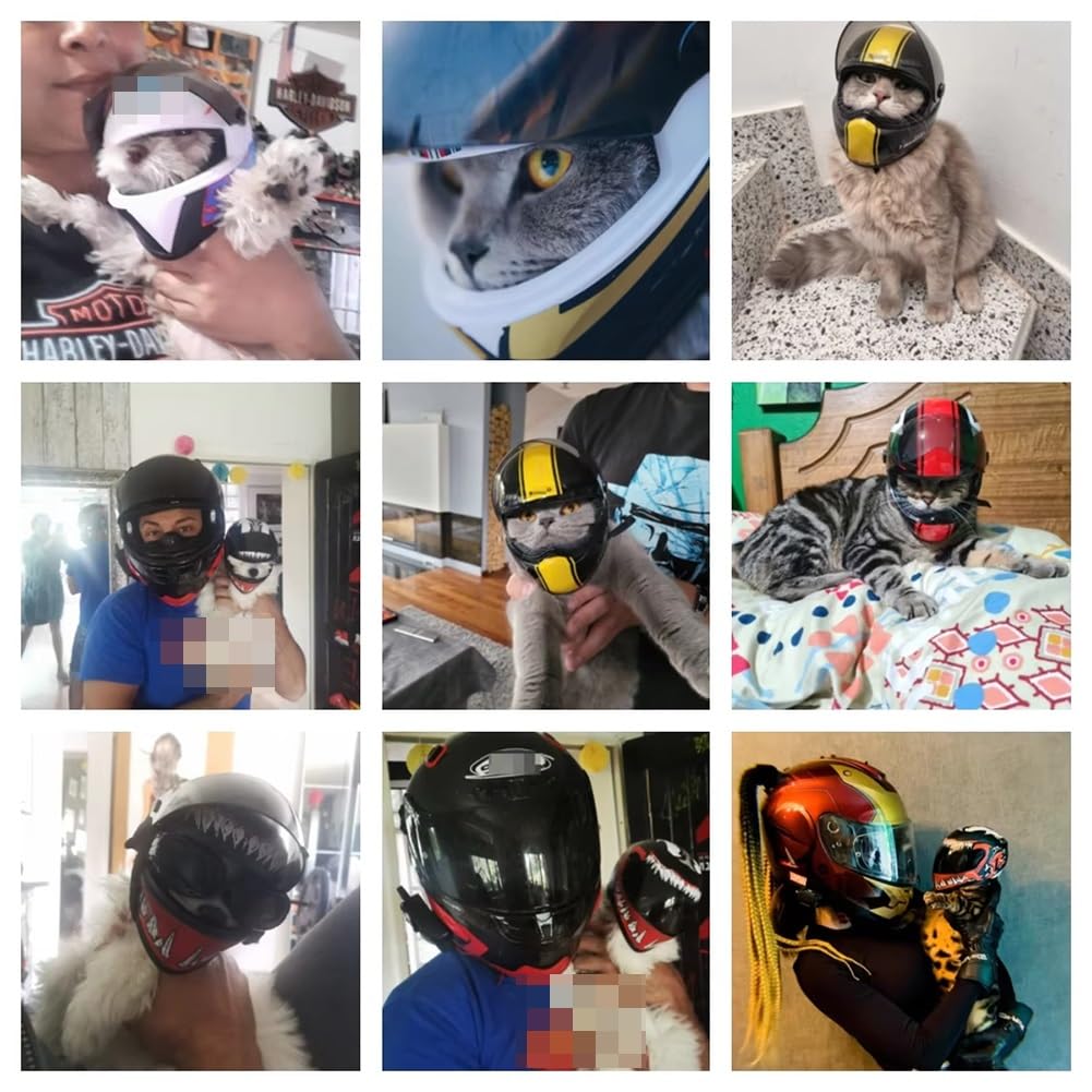 Casco Integrale da Moto per Cani E Gatti, Casco da Moto per Animali Domestici da Esterno, Accessori per Foto di Animali Domestici