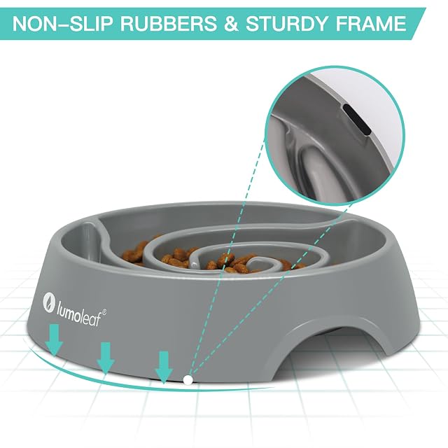 Foto 6 de 7 de LumoLeaf Cuencos grandes de 22 cm para perros de 22 cm, 4 tazas