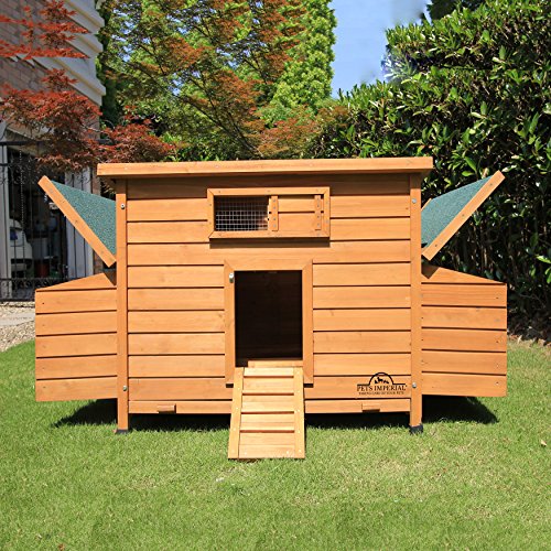Pets Imperial® Balmoral Hühnerstall - Doppelnistkasten & 1,4 m Auslauf - Großer Hühnerstall mit öffnendem Dach – Bild 6