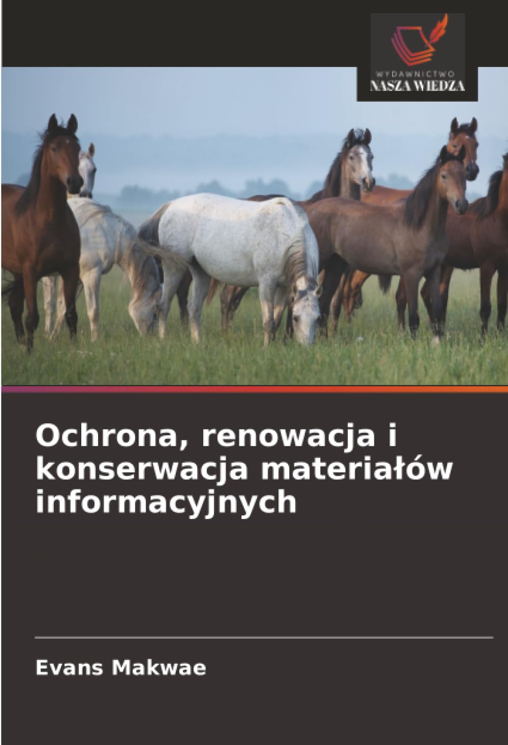Ochrona, renowacja i konserwacja materialów informacyjnych
