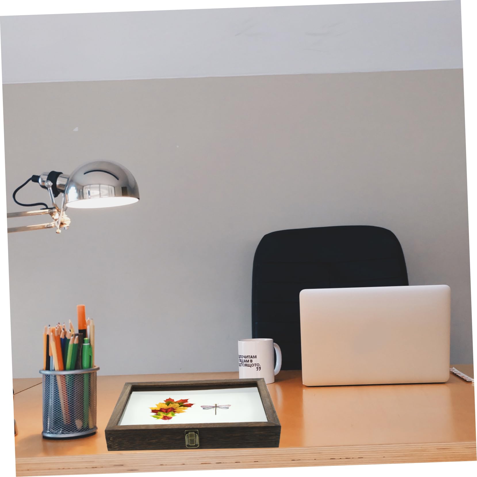 ERINGOGO Boîte De Présentation En Bois Avec Couvercle Transparent 31X8.66X1.85 Pouces Vitrine Pour Cadre De Rangement De Spécimens D'Insectes Et Pour Collection Et Affichage