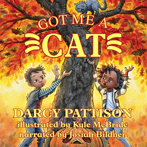 Got Me a Cat by Darcy Pattison episode artwork