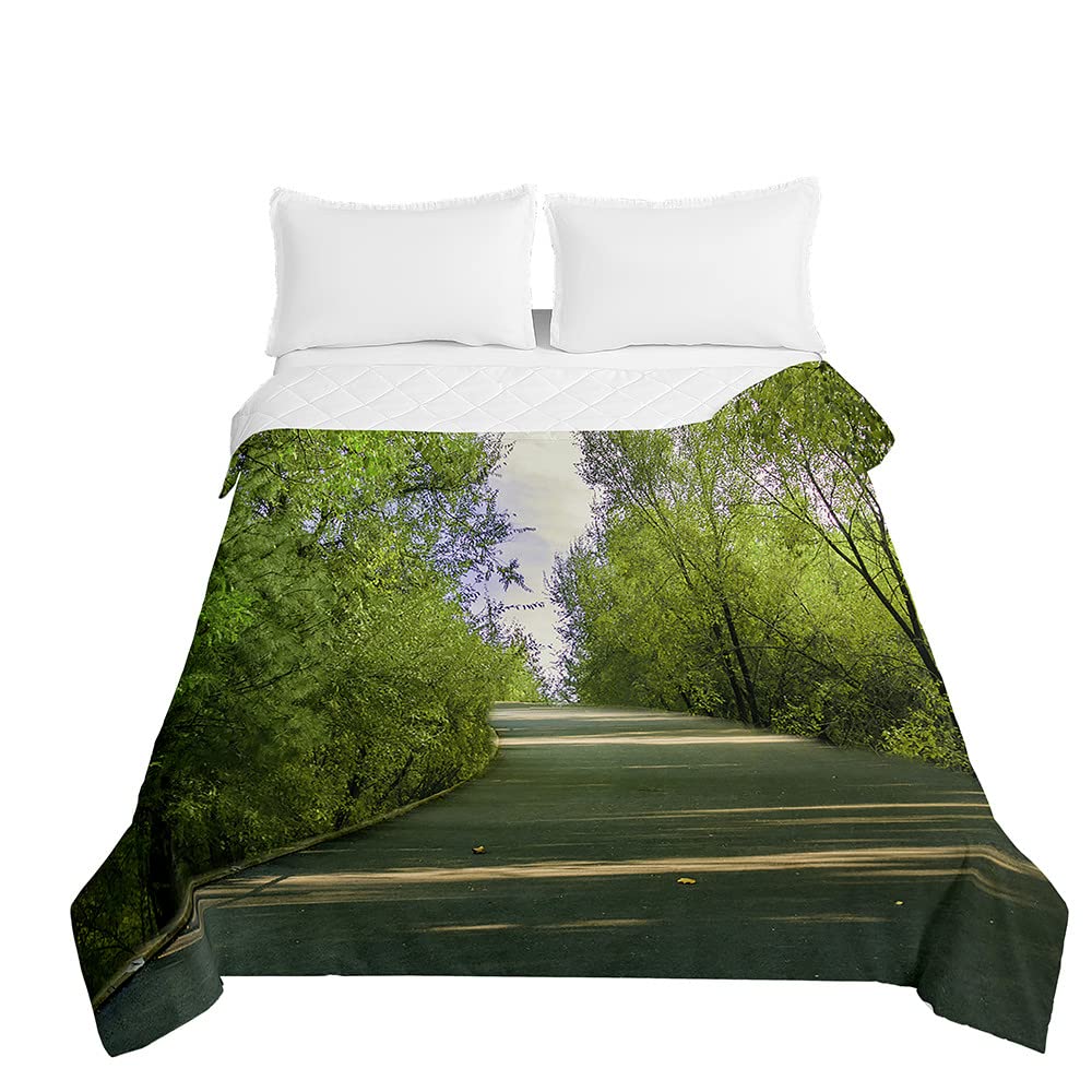 Chickwin Trapuntino Copriletto Goffrato Matrimoniale Singolo, Coperta Estivo Trapunta Trapuntato in Paesaggio Verde Stampa Coperta Letto Leggera per Camera da Letto (200x230cm,Villaggio Verde