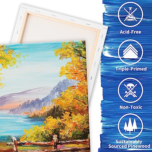 Image of FIXSMITH Stretched White Blank Canvas - 10x20 Inch, 5 Pack,Primed Large Canvas,100% Cotton,5 /8 Inch Profile of Super Value Pack for Acrylics,Oils & Other Painting Media