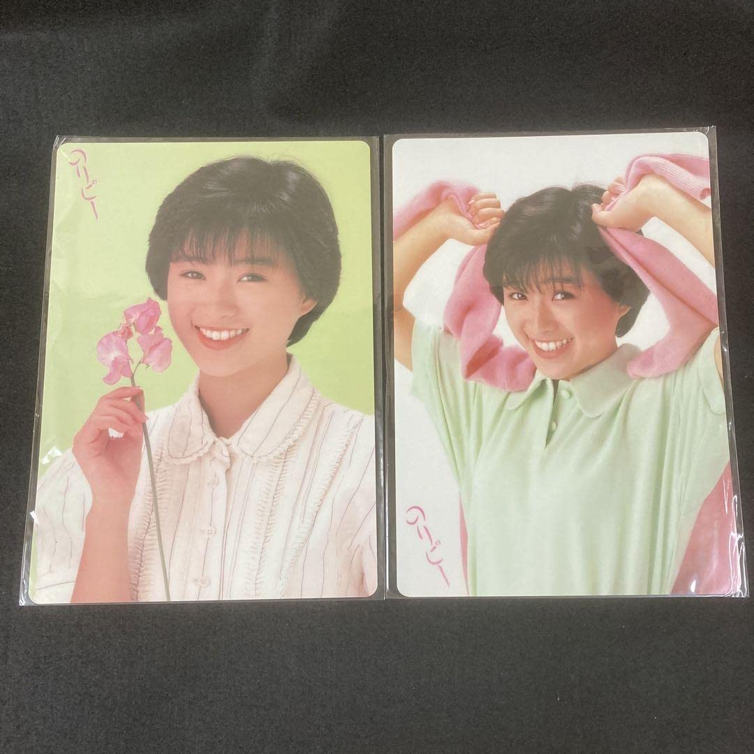 のりピー酒井法子の簡易保険クリアファイル