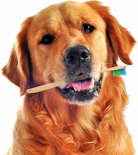 Miniatura 5 de Woobamboo! Cepillo de dientes ecológico de bambú para perros de raza grande, biodegradable, plástico negativo (paquete de 2)