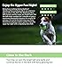 SKIPDAWG Neon Glow Ball, leuchtet im Dunklen, für Hunde, hochwertiger TPR-Kunststoff, mit Quietscher, sehr gut für Ballschleuder