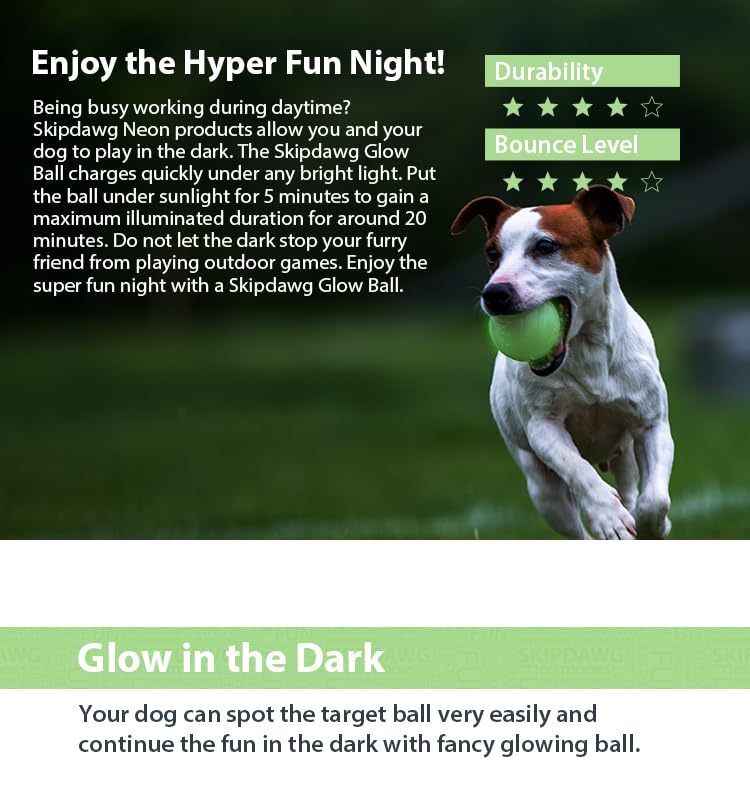 SKIPDAWG Neon Glow Ball, leuchtet im Dunklen, für Hunde, hochwertiger TPR-Kunststoff, mit Quietscher, sehr gut für Ballschleuder