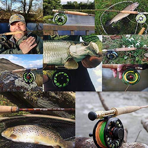 MAXIMUNCATCH V-Gold Fliegenrute IM12 Graphit 4 Teile Fliegenfischen Rute mit Cordura Rohr Angelrute in 4/5/6/8wt – Bild 8