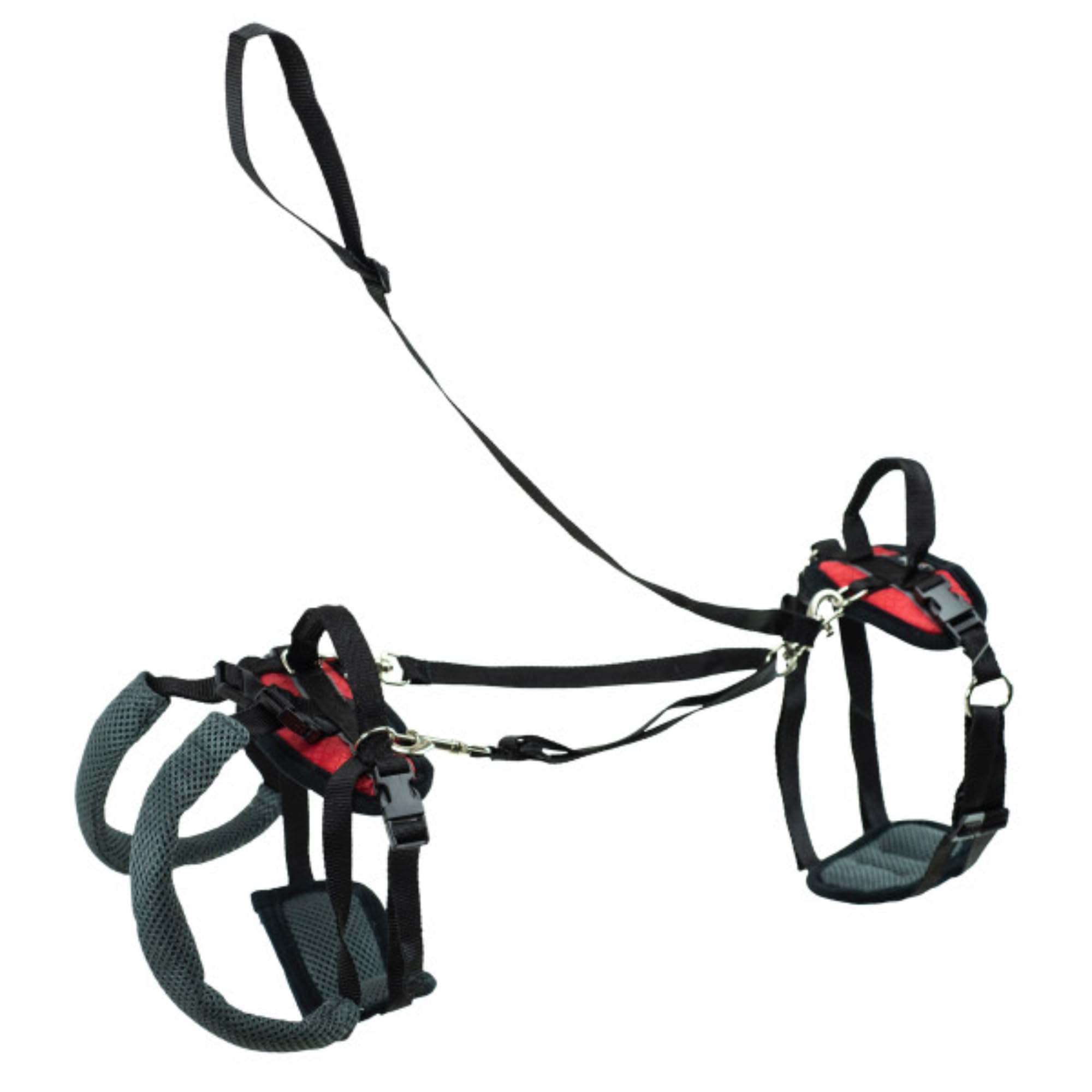PetSafe Carelift, Unterstützungsgeschirr für Hunde, Ganzkörper-Hebehilfe mit Griff, für behinderte oder ältere Hunde, komfortabel, atmungsaktiv, einfach verstellbar, M