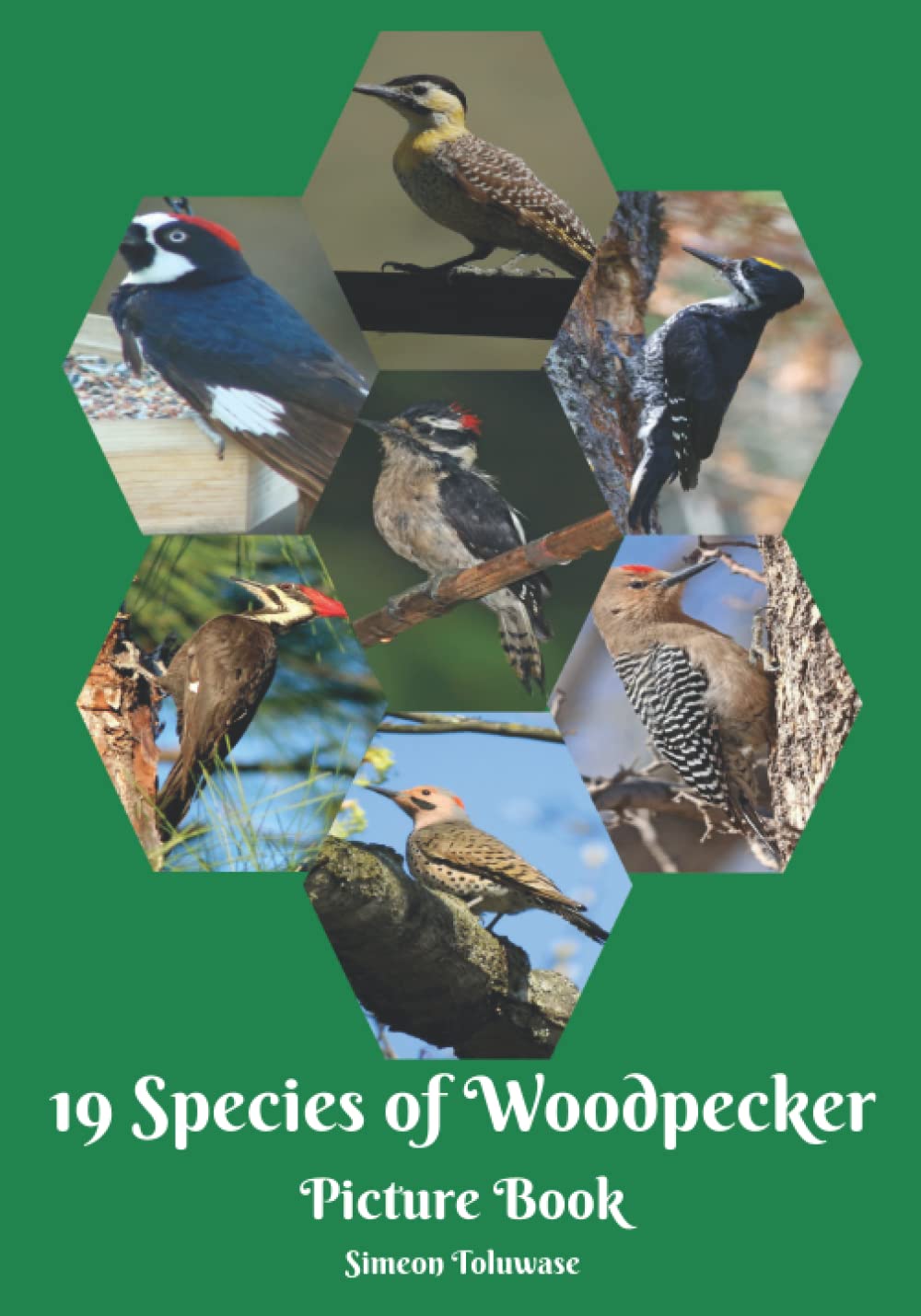 Buy 19 Species of Woodpecker Picture Book: Photography collection of