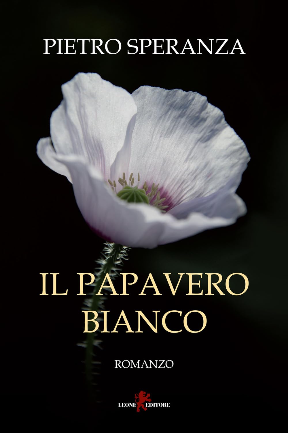 Il Papavero Bianco - 4
