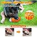 Focuspet Pelota Masticables de Juguete Chirriante para Perros Juguetes para Perros de...