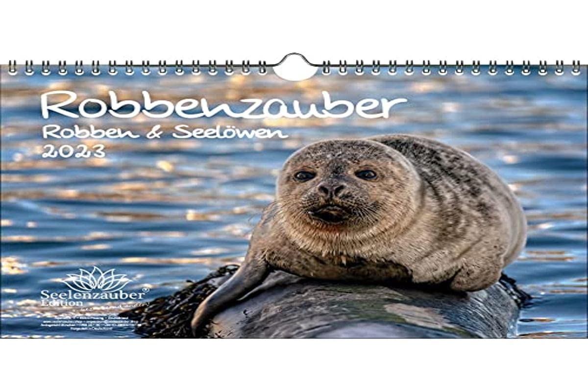 Robbenzauber DIN A4 calendar for 2023 seals and sea lions - Seelenzauber