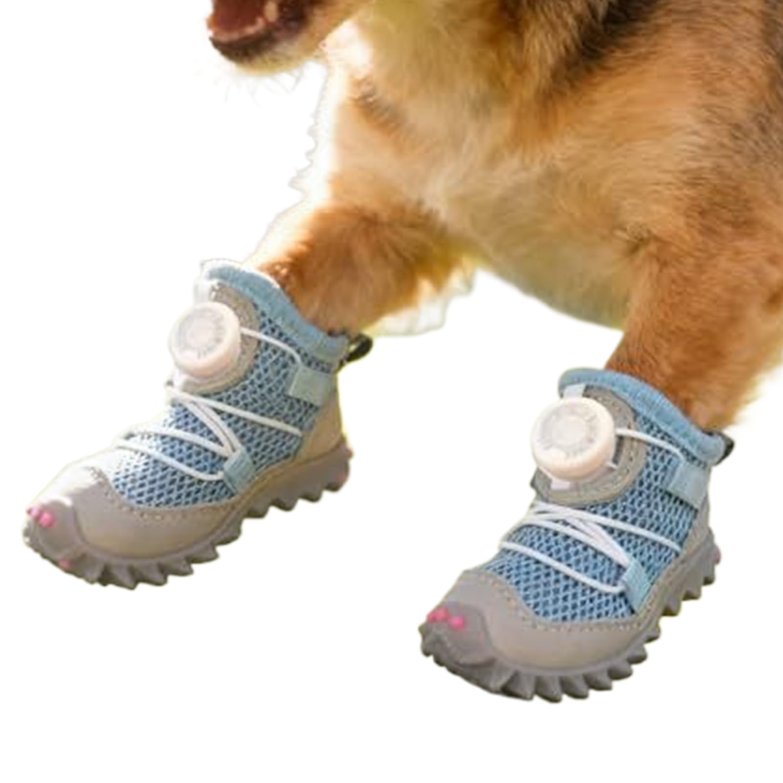Chaussures pour chien et bottes imperméables antidérapantes pour la neige et la pluie