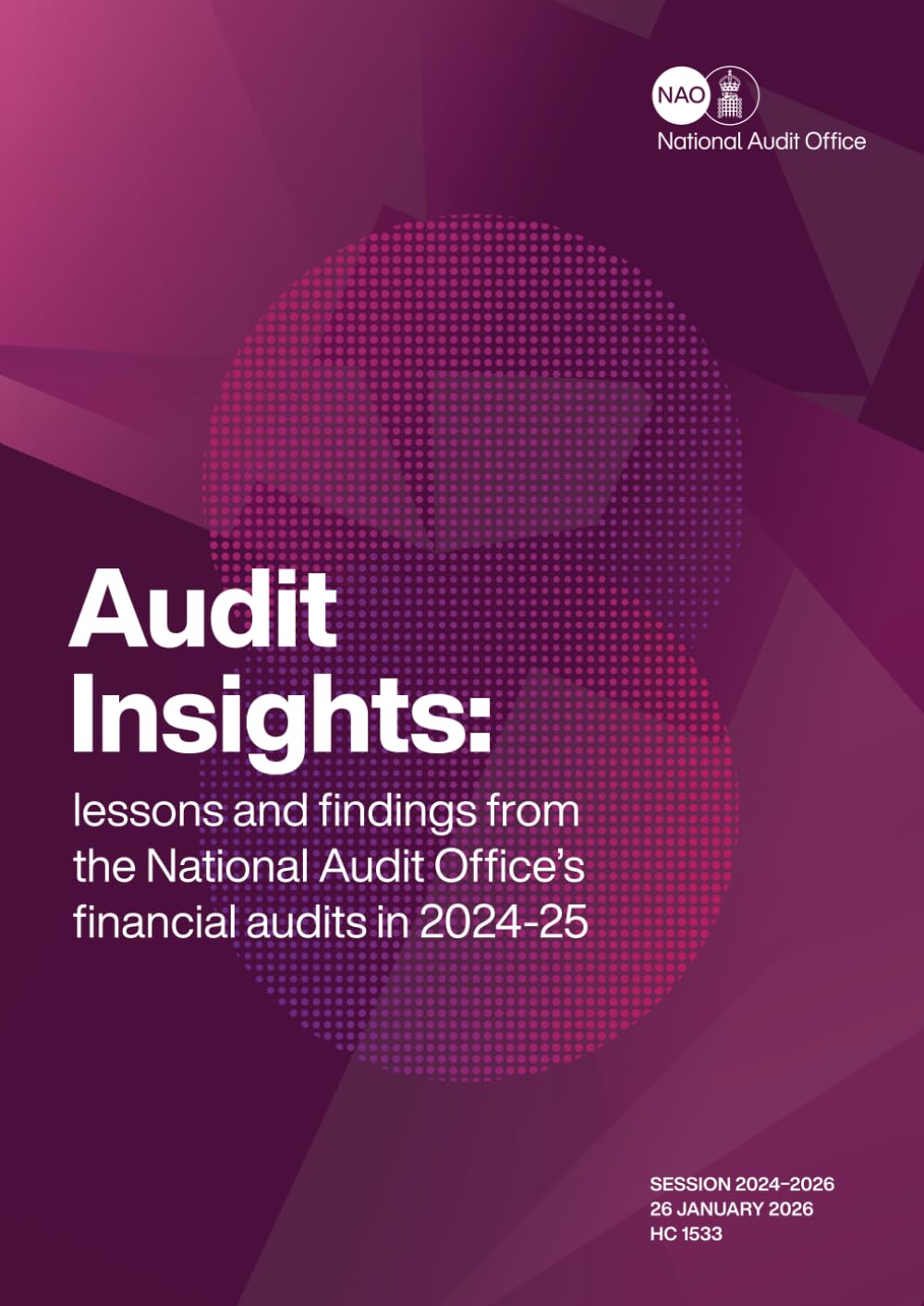 Audit insights: lessons and findings from the National Audit Office’s financial audits in 2024-25