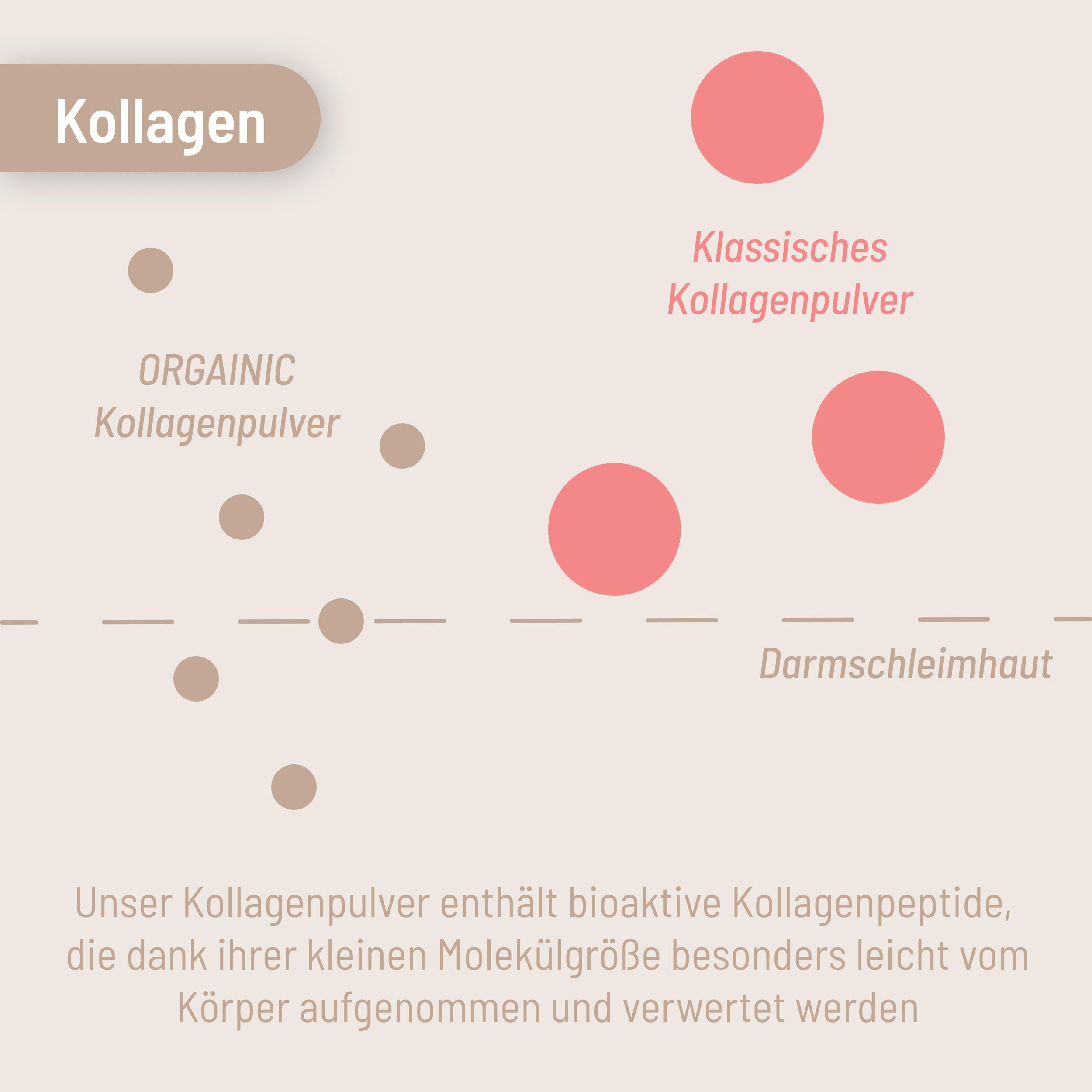 ORGAINIC Kollagen Pulver (700g) - Zertifizierte Weidehaltung - Collagen Pulver - Kollagen Hydrolysat Typ 1&3 - Gute Löslichkeit - Collagen hochdosiert