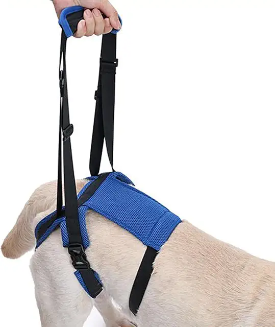 Arnés Ortopédico para Perros Patas Traseras - Soporte Ajustable y Cómodo