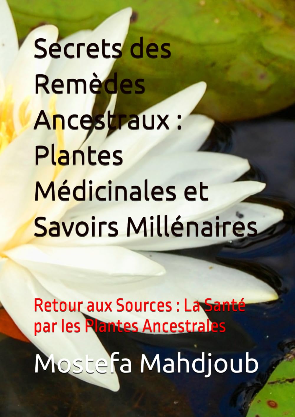 Secrets des Remèdes Ancestraux : Plantes Médicinales et Savoirs Millénaires: Retour aux Sources : La Santé par les Plantes Ancestrales