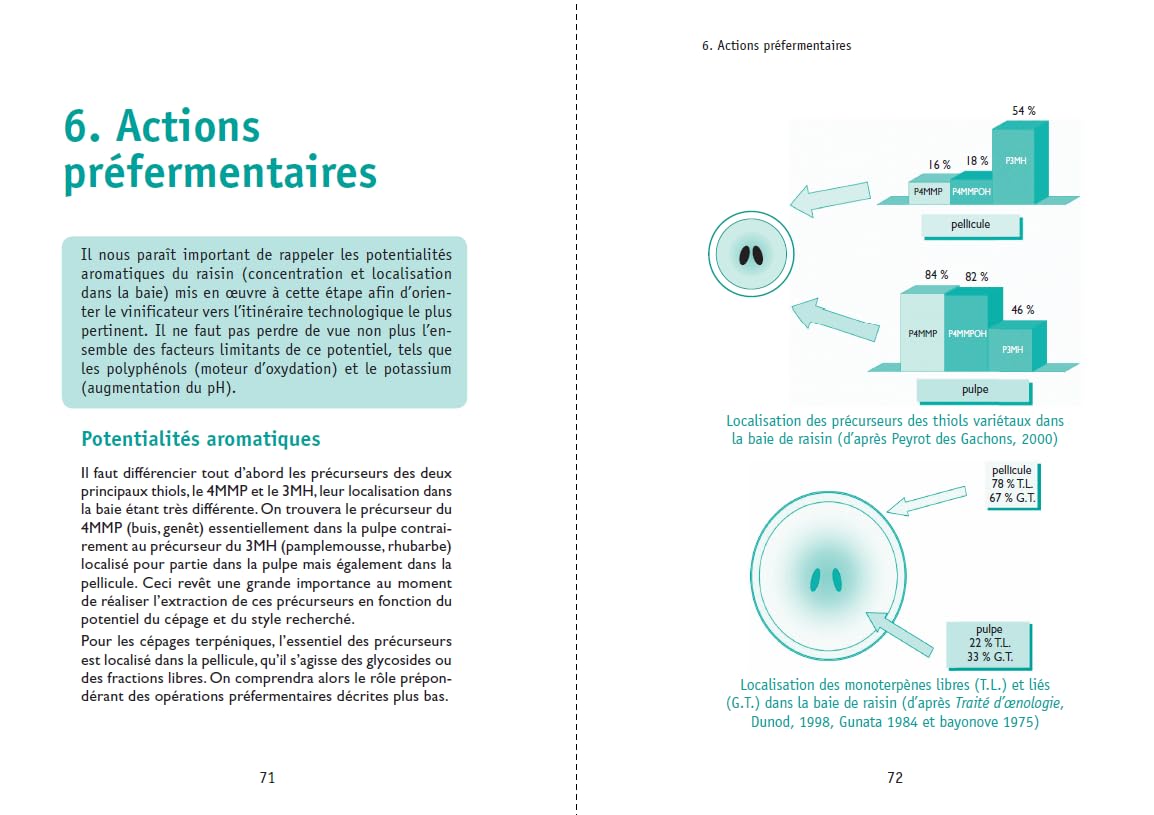 Guide pratique de la vinification en blanc et rosé - 2e éd.