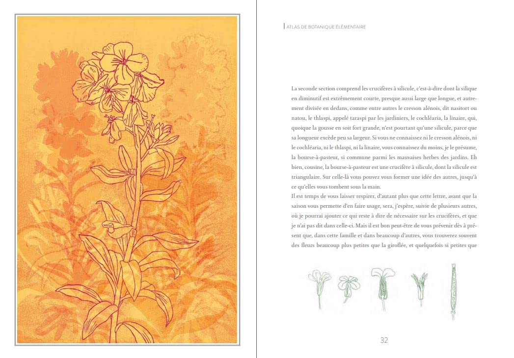 Atlas de botanique élémentaire
