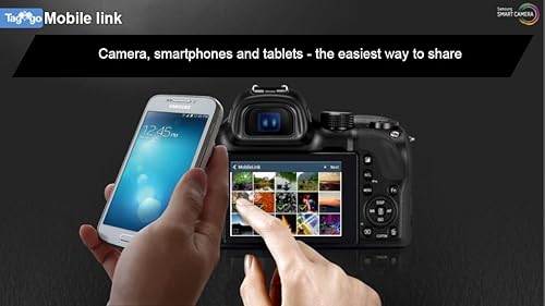 Miniatura 14 de WB350 Raíz