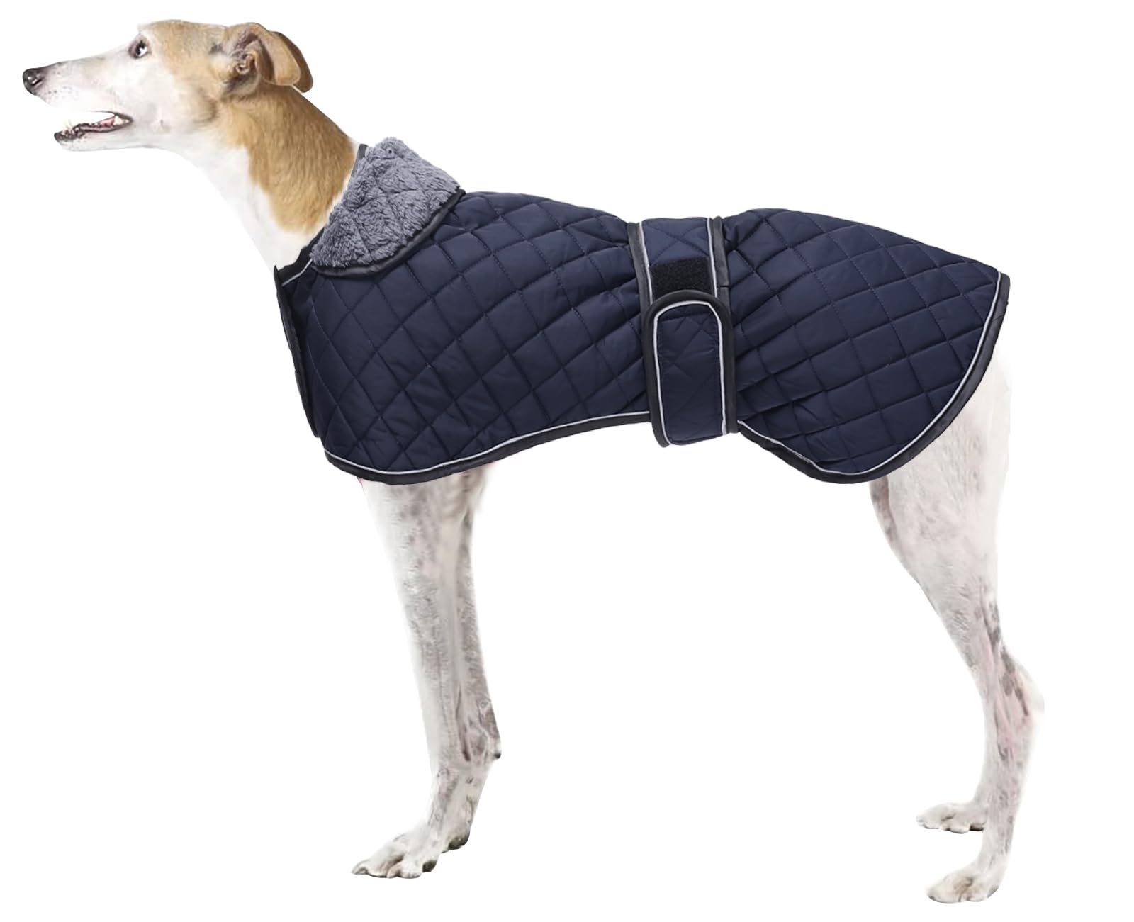 Dog Greyhound Waterproof Coat,Whippet Lurcher Coat,Dog Winter Jacket with Fleece Lining,Adjustable Outdoor Pet Apparel for Medium or Large Breed -Navy-S