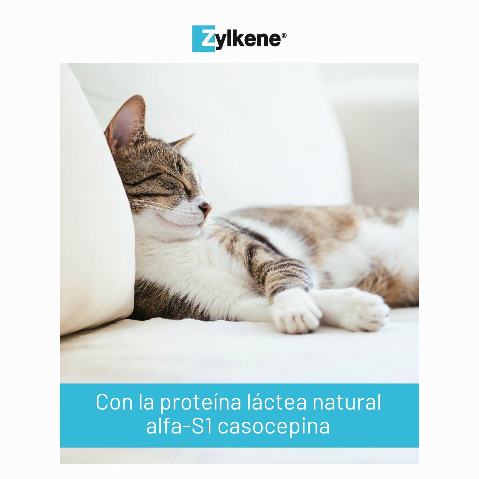Zylkene - Suplemento antiestrés para perros y gatos 75 mg, Caja de 100 cápsulas