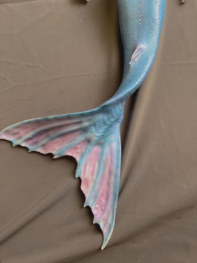 Amazon.co.jp: 人魚 マーメイド フルシリコン リボーンドール ドール 