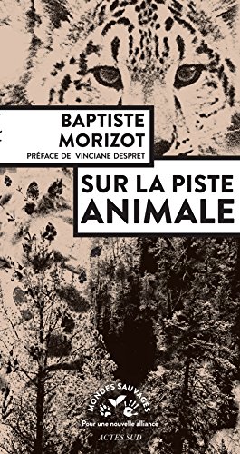 Sur la piste animale (Mondes sauvages) (French Edition) eBook ...