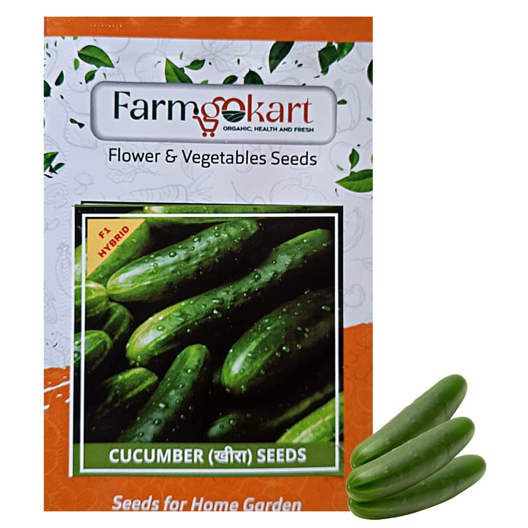Farmgokart |CUCUMBER GREEN DARK HYBRID-F1 HYBRID SEED |25 Seeds Per Packet| Best Suitable For Home Gardening | (B09NKZXM91) Amazon Price History, Amazon Price Tracker
