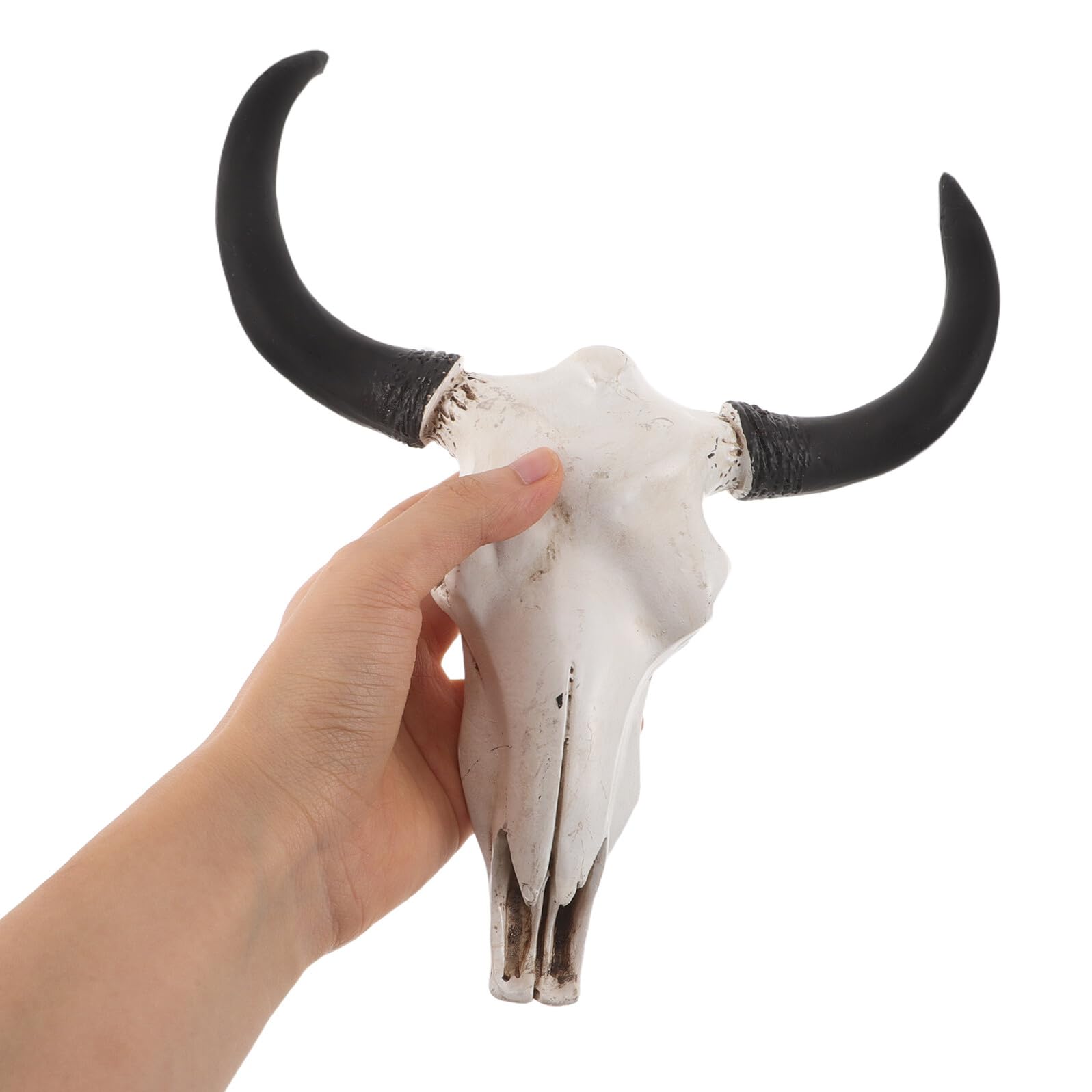 JECOMPRIS Decorazione da Parete Teschio Corna Lunghe in Resina Artigianale Ornamento Horror a Tema Halloween per Arredamento Rustico e Stile Gotico Decorazione Murale Macabra per Casa e