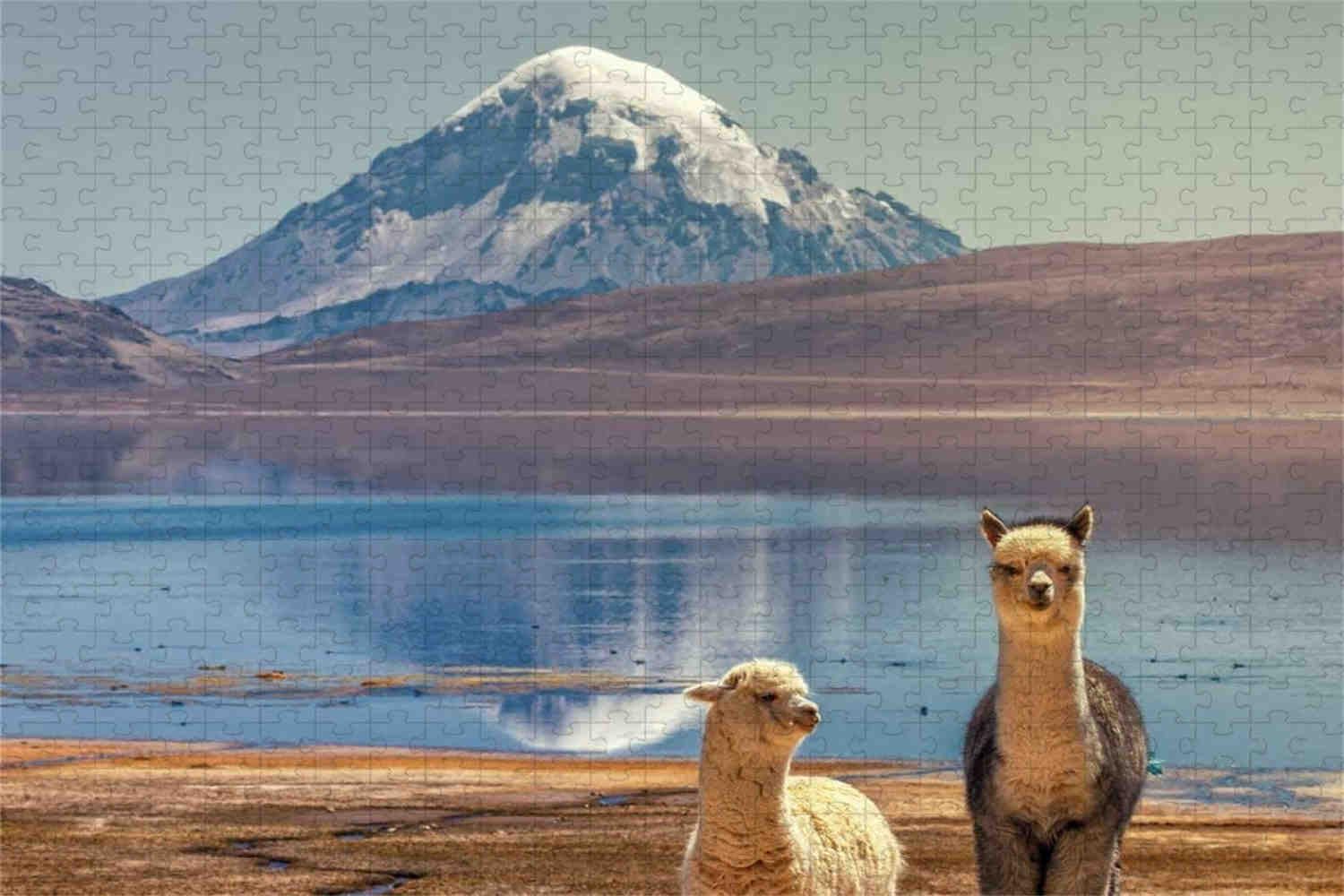 Due alpaca sotto la montagna innevata - Puzzle in legno da 1500 pezzi - Apprendimento dei giocattoli educativi per ragazzi e ragazze