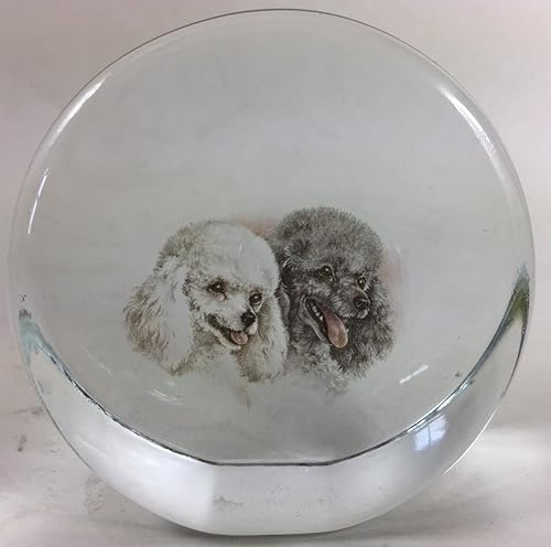 Pisapapeles CircleStand UpempotrablevidrioMosser Estados UnidosRosso exclusivo