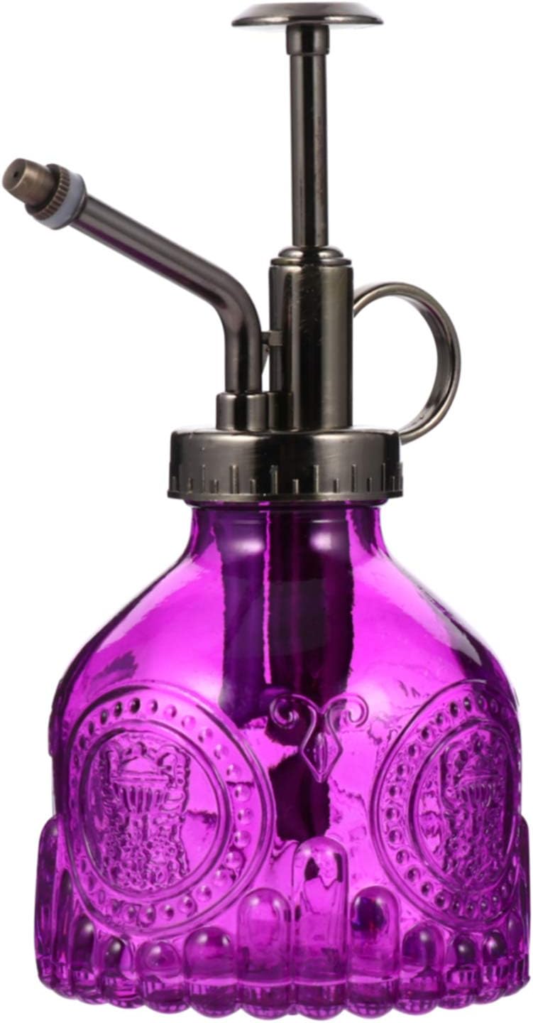 YARNOW Vintage Glass Plant Mister with Top Pump Small Vase Watering Spray Bottle Succulent Flower Spritzer Can for Indoor Outdoor Garden Use(Purple)