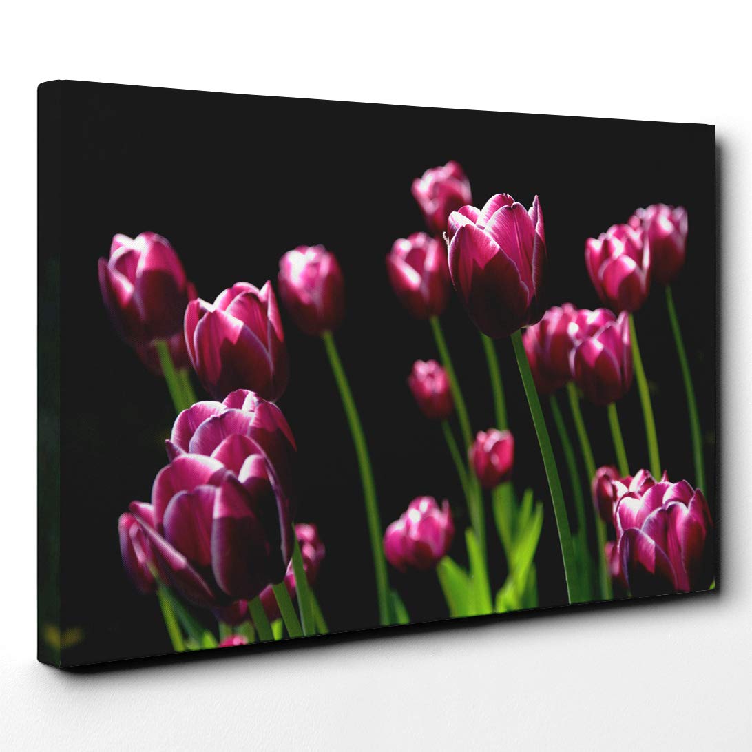 Flower Pink Purple Tulip (2) Canvas Print | Gallery Wrapped 30mm Frame Wall Art | 24x16 inches | Ready to Hang | Contemporary Floral Picture | Living Room Bedroom Lounge Office