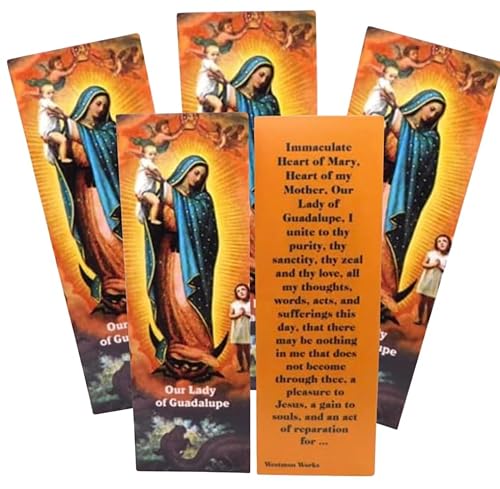 OA_[y̐  pbN Ft wZk p 5Zbg