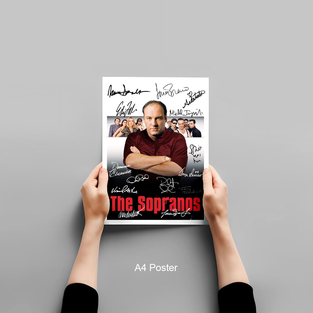 Memorabilia The Sopranos Full Cast Signed Autograph Signature A4 Poster Photo Print Photograph Artwork Wall Art Picture TV Show Series Season DVD Boxset Present (A4 POSTER ONLY)