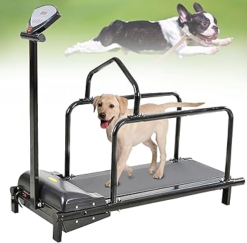 Dog Treadmill for Small & Medium Dogs, Indoor Pet Dog Running Machine with LCD Display, Fitness Treadmill for Dogs, Quiet Dog Pacer Treadmill for Exercise,Black
