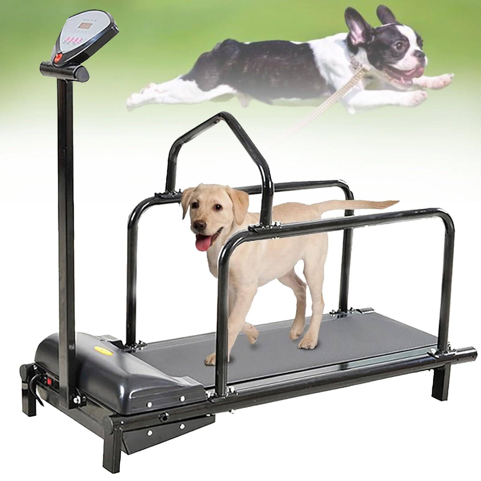 Hundelaufband für kleine und mittelgroße Hunde, Indoor-Laufgerät für Haustiere mit LCD-Display, Fitness-Laufband für Hunde, leises Dog Pacer-Laufband für Übungen Black