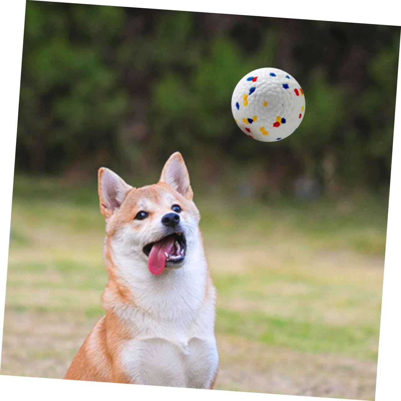 YARNOW 6pièces Balles Rebondissantes pour Chiens Jouets à Mâcher Et Résistants pour Chiots pour Intérieur Et Extérieur