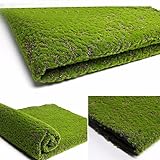 WIIYENA Musgo artificial para decoración del hogar, plantas verdes falsas, hierba de musgo sintético para tienda, patio, decoración de pared, 100 x 100 cm