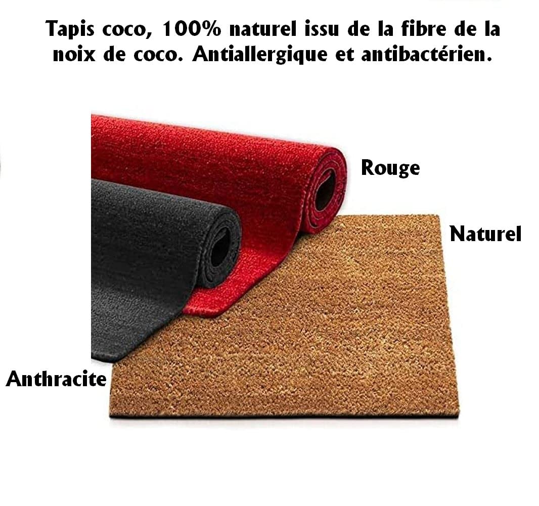 MadeInNature Tappetino d'ingresso in cocco | Zerbino in fibra di cocco naturale - effetto detergente | Dimensione e colore a scelta (rosso, larghezza 80 cm x lunghezza 100 cm x altezza 17 mm)