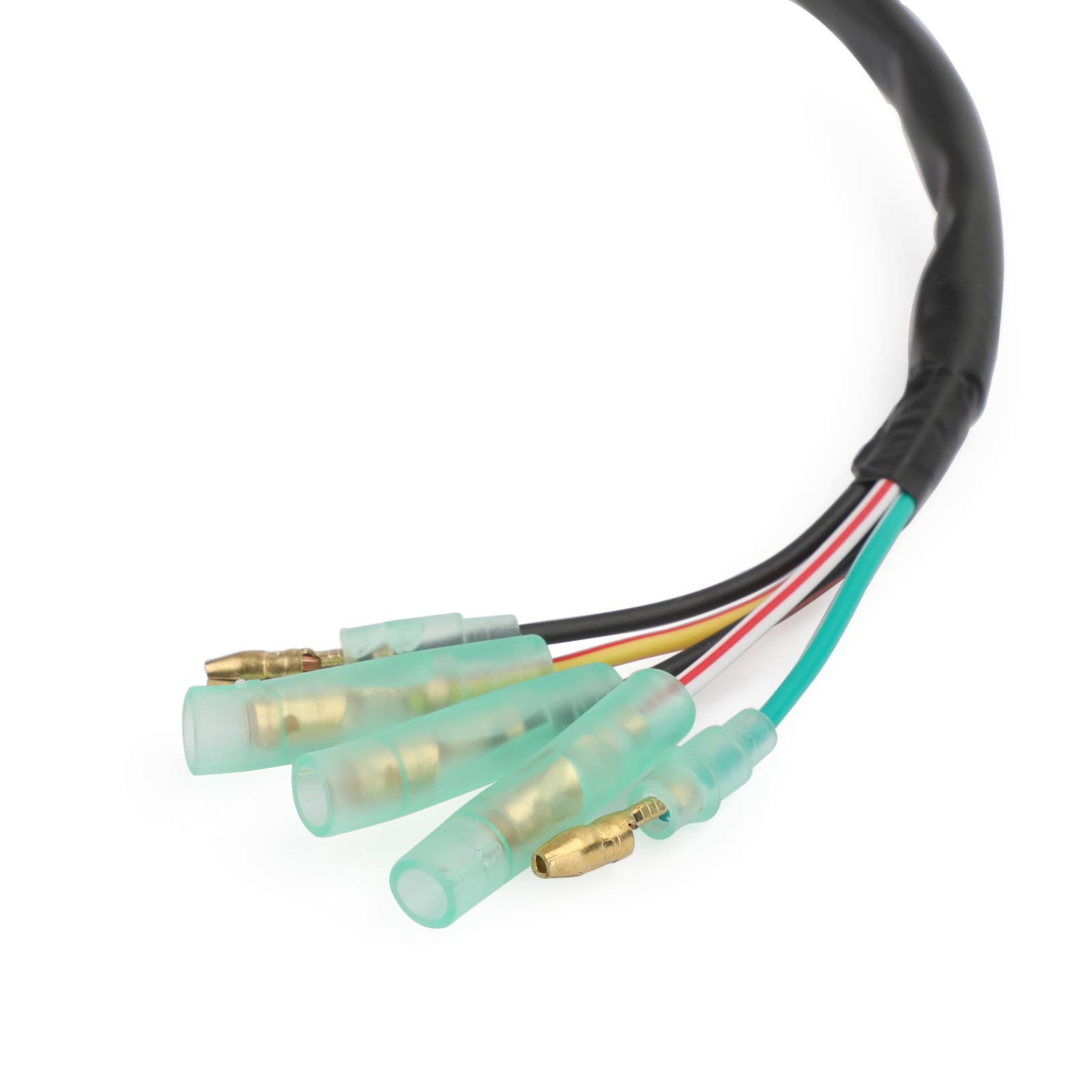 Topteng Estator Apto para Yamaha Blaster YFS200 2003-2006 5Vm855600000